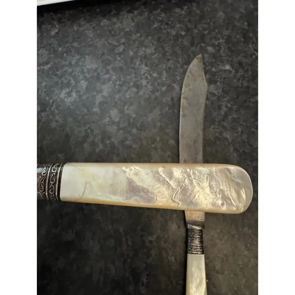 Antique Meriden Cutlery Co. Carving Set MOP Handle Knife Fork Silver Ferrule